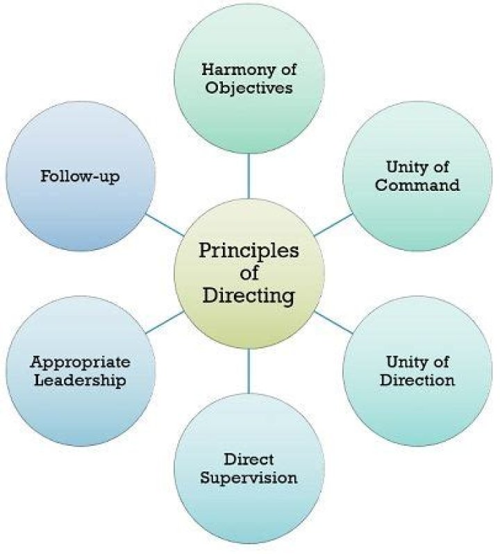 What is the process of directing and determining relationships among variables?