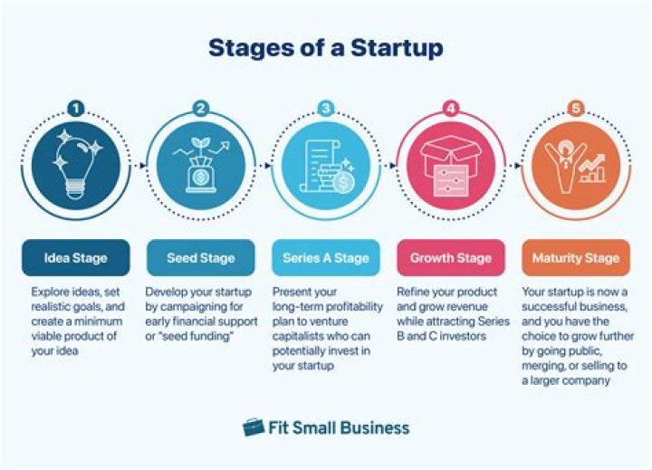 What is the startup stage of a business?