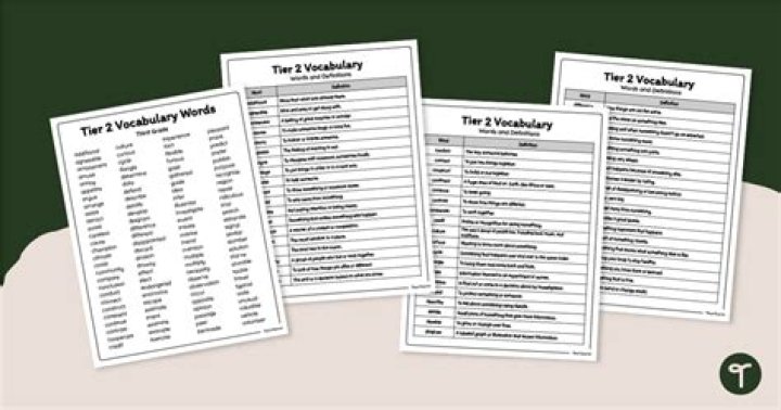 What is Tier 2 capital of a bank?
