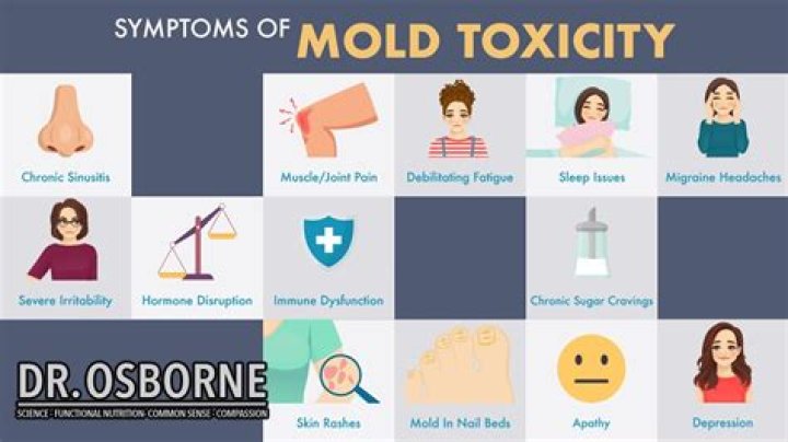 What kind of doctor do you see for mold toxicity?