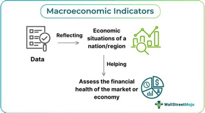 What macroeconomic indicators are used to evaluate an economy?