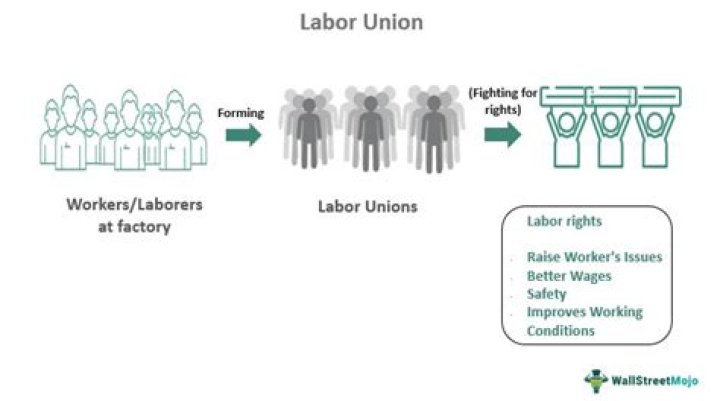 What makes a successful labor union?