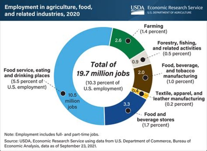 What percent of Americans work for large companies?