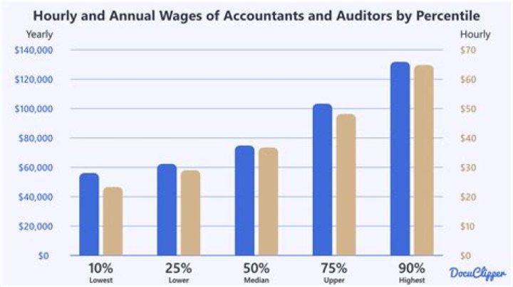 What percentage of accountants make partner?
