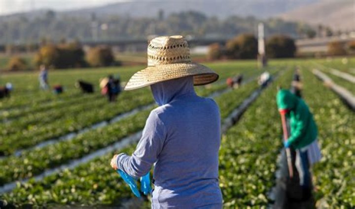 What percentage of farm workers are Mexican?