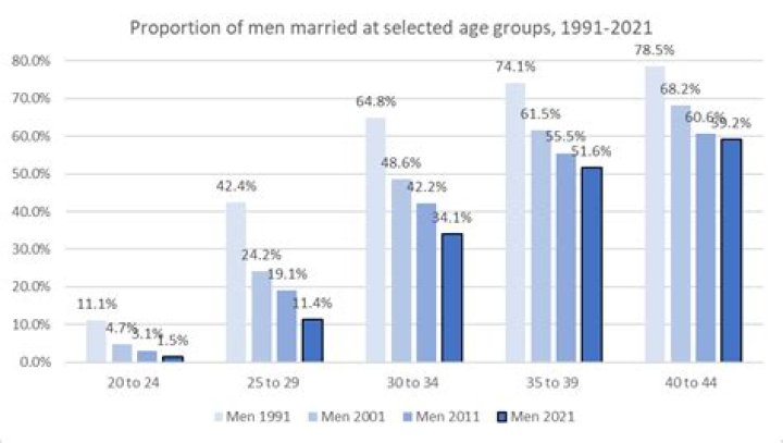 What percentage of people plagiarize?