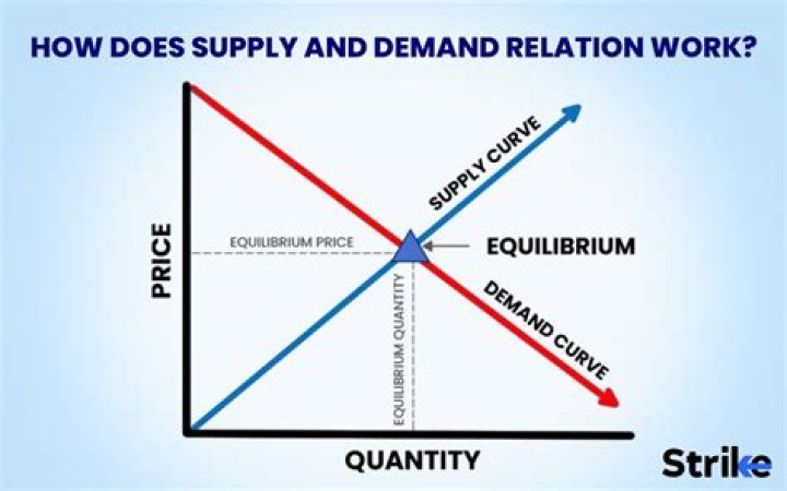 What relationship does the supply curve show?