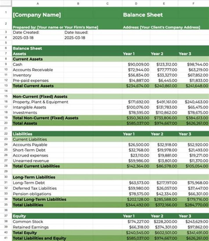 What terms are on a balance sheet?