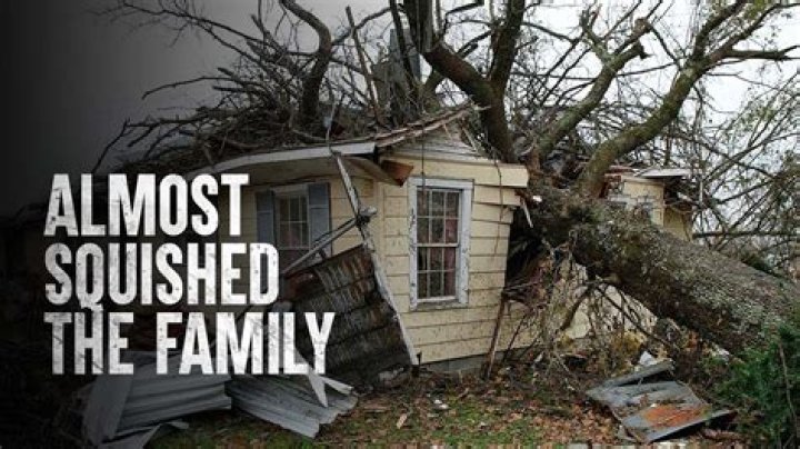 What to do if a tree is about to fall on your house?