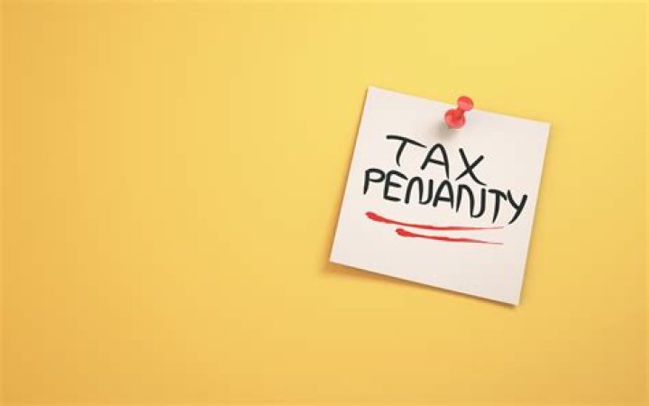 What to do if you do not have the money to pay your taxes?