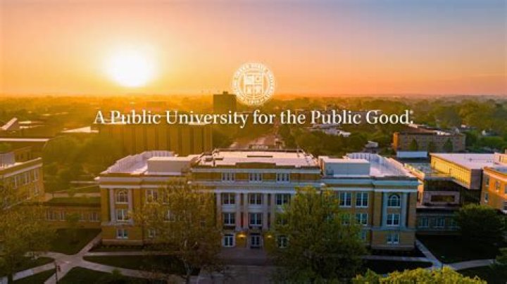 What type of organization is a public university?