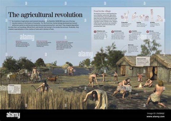 What was going on in 1900 in America?