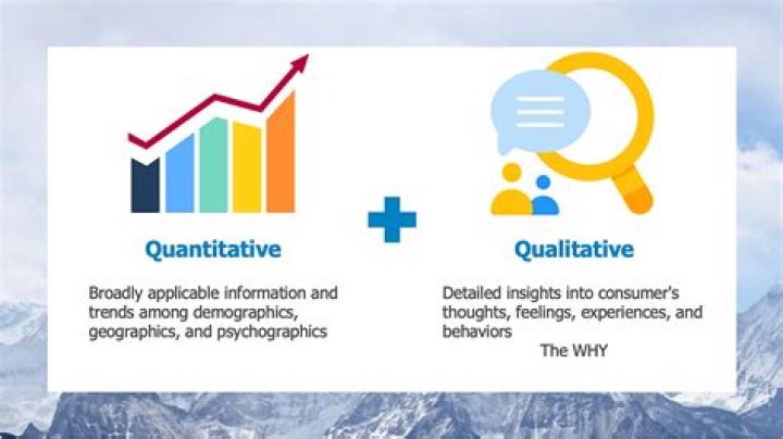 What word best describes quantitative research?