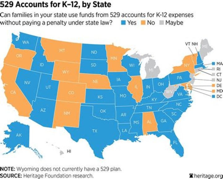 What year did 529 accounts start?