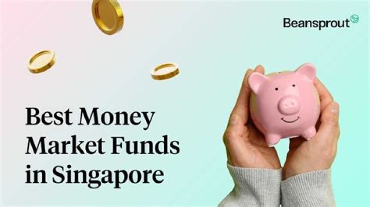 When were money market funds created?