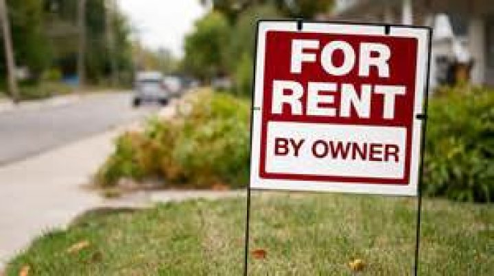 Where can I find a house for rent?