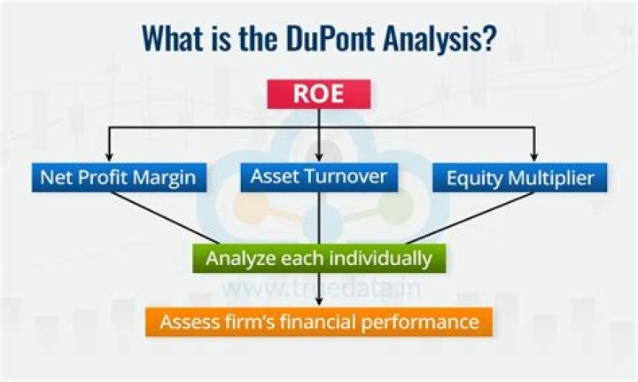 Where can I find DuPont analysis?