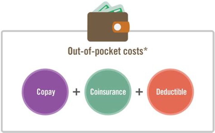 Which costs refers to out-of-pocket cost?