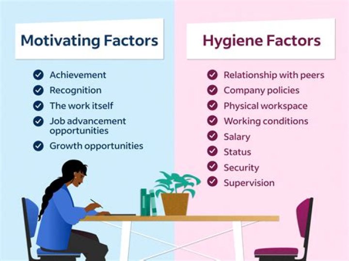 Which of the following are knowledge workers?