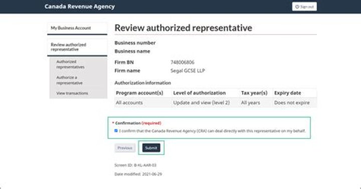 Which tax professional can represent a client during an audit?