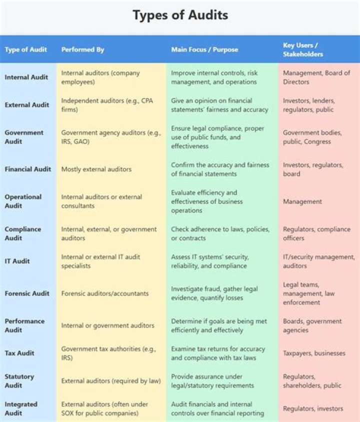Which type of audit is used for small business?