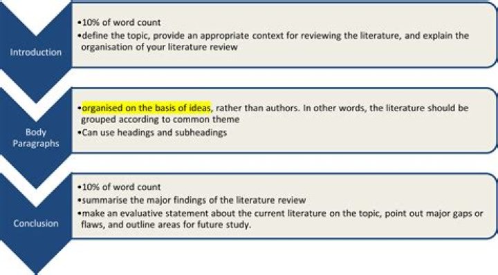 Which type of source is not typically included in a literature review?