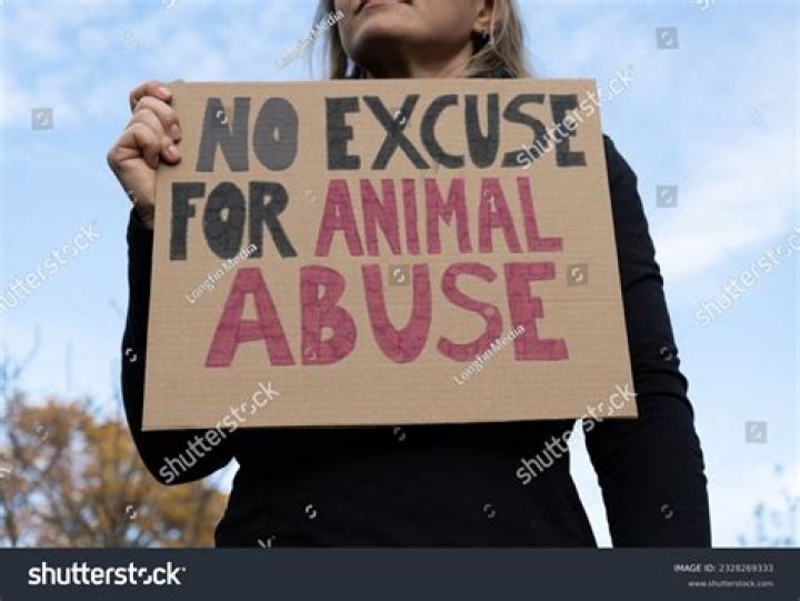 Who advocates for animal abuse?