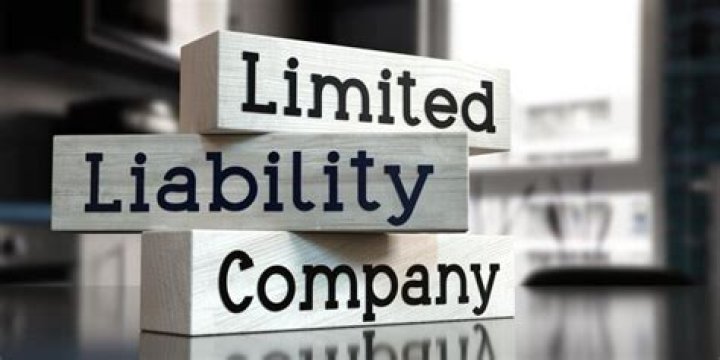 Who are the members of a limited liability company?