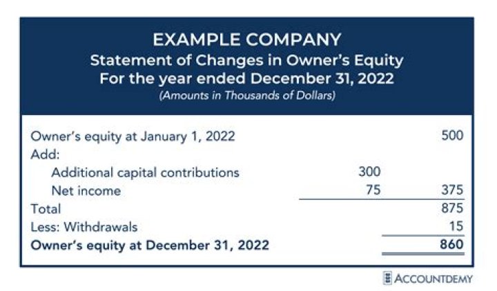 Who are the owners and members of a LLC?