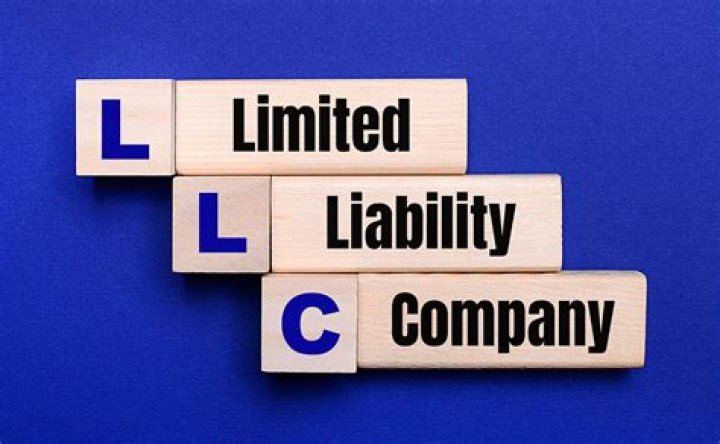 Who are the owners of an LLC limited liability company?