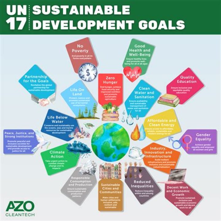 Who contributes SEP plan?