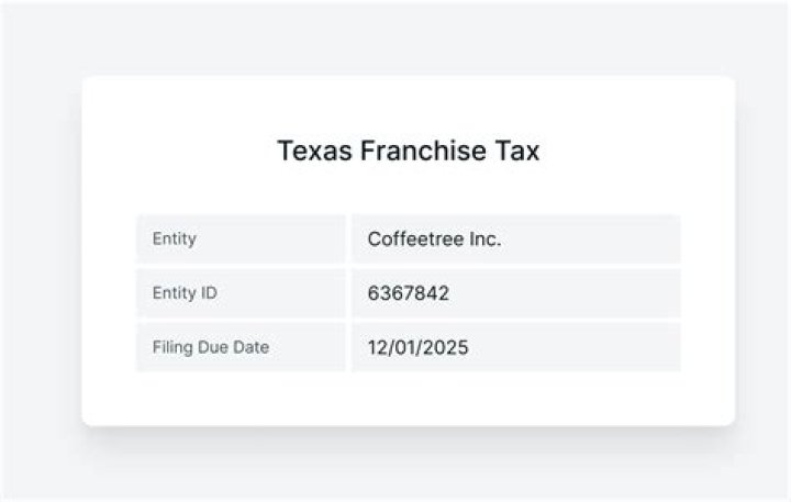 Who files Texas franchise tax?