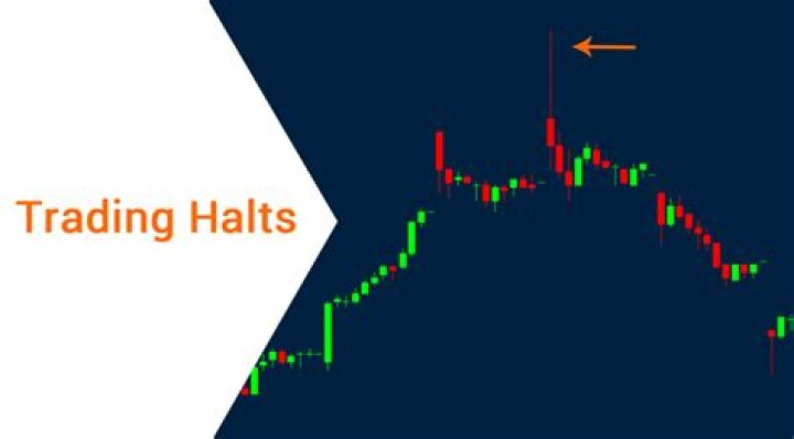 Who halts trading on a stock?