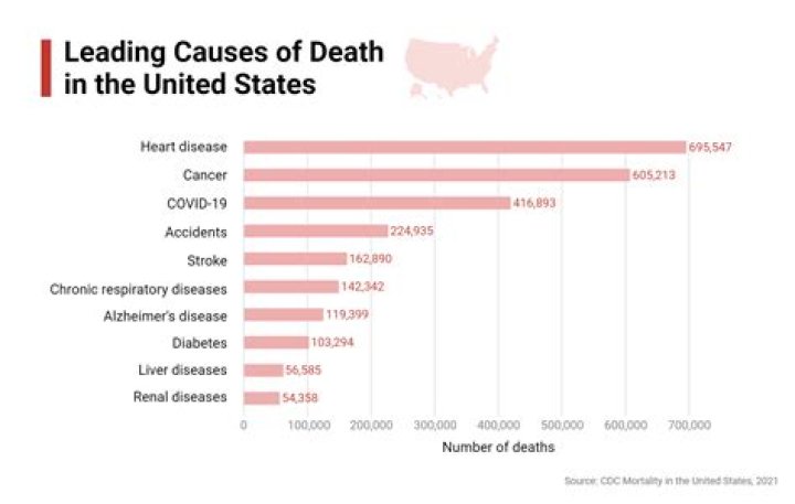 Who investigates the cause of death?