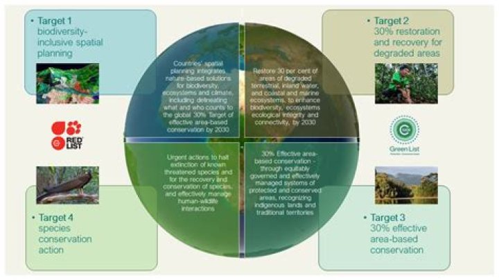 Who is in charge of conservation areas?
