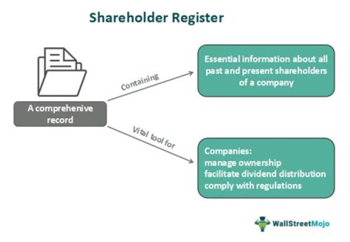Who is the owner shareholder of a business?