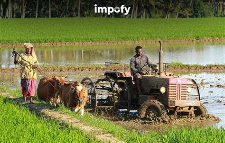Why are farmers selling land?