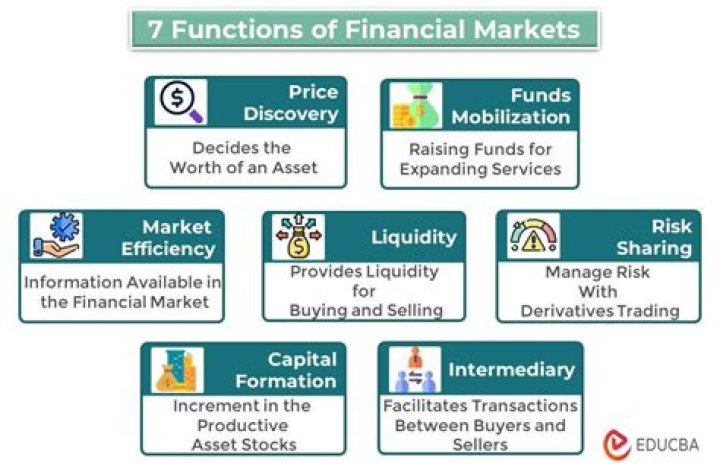 Why are financial markets important to the economy?