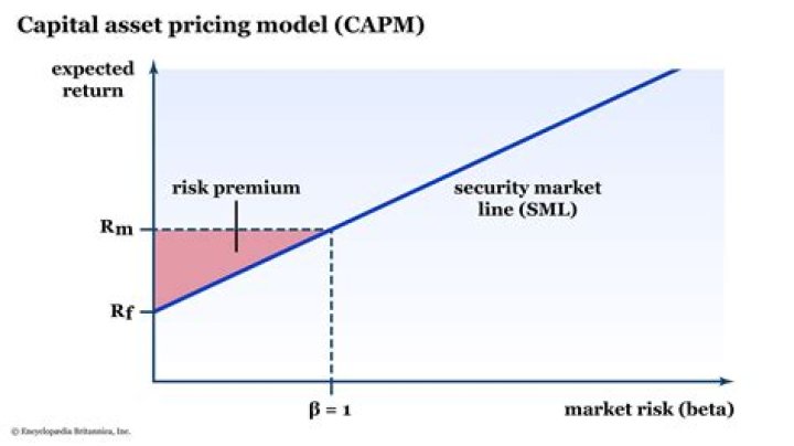 Why CAPM is widely used?