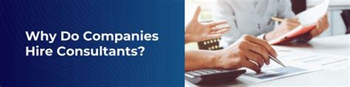 Why consultants are needed?