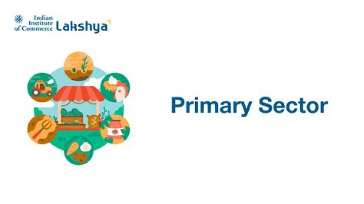 Why did the primary sector decline?