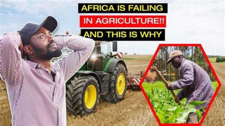 Why do farmers dig wells?