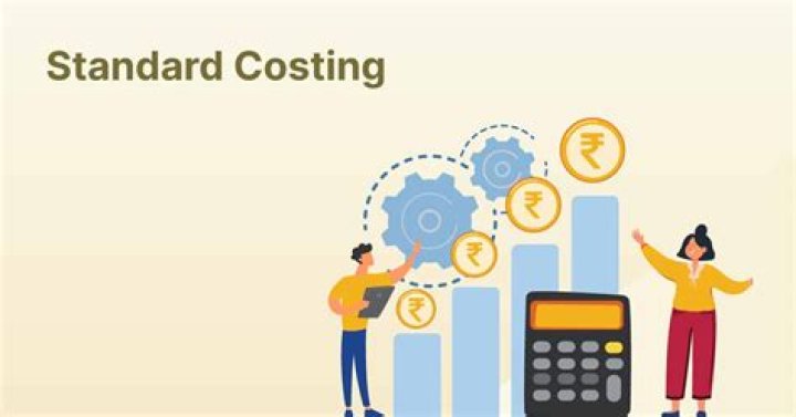 Why does a company use a standard costing system?