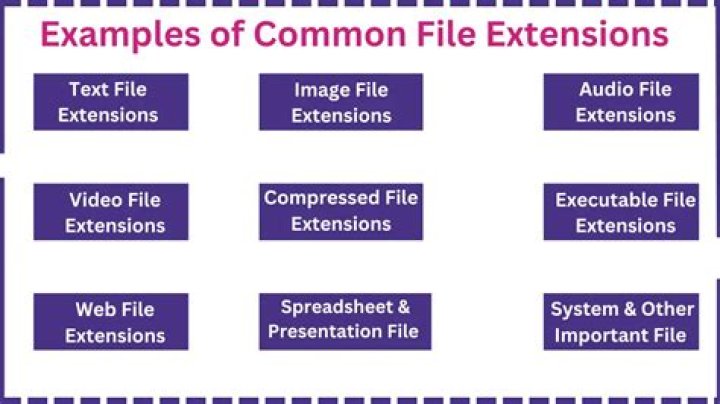 Why is it important to understand file extensions?