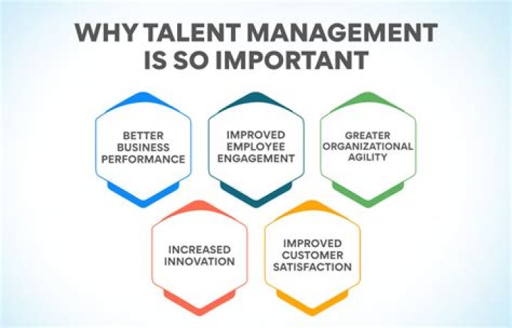 Why is talent important to an organization?