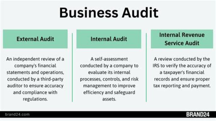 Why would a business get audited?
