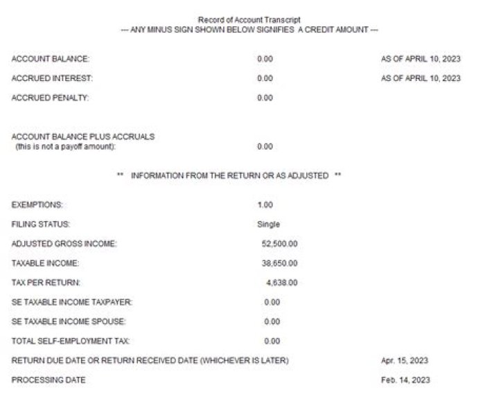 Will the IRS work with you if you owe money?